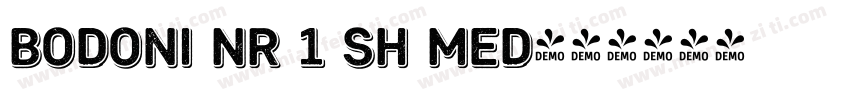 Bodoni NR 1 SH Med字体转换